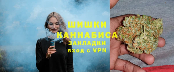 метадон Осташков