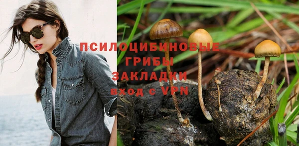 ALPHA-PVP Осинники